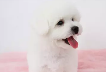 ���������������� ���ܼ۸� С��Ȯ �豭Ȯ