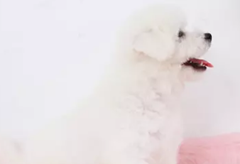 ���������������� ���ܼ۸� С��Ȯ �豭Ȯ